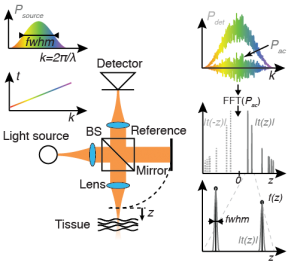 Working Principle of OCT - OCT Research